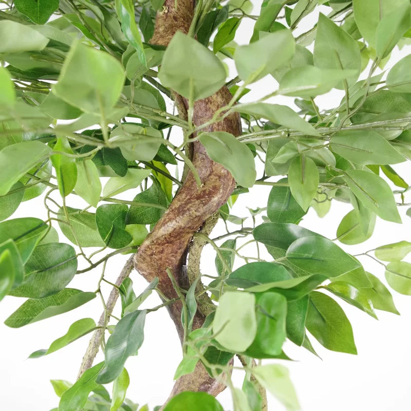 Faux Ficus Tree in Pot Liner