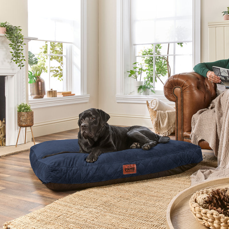 Slumberdown Paws for Slumber Raised Padded Dog Bed