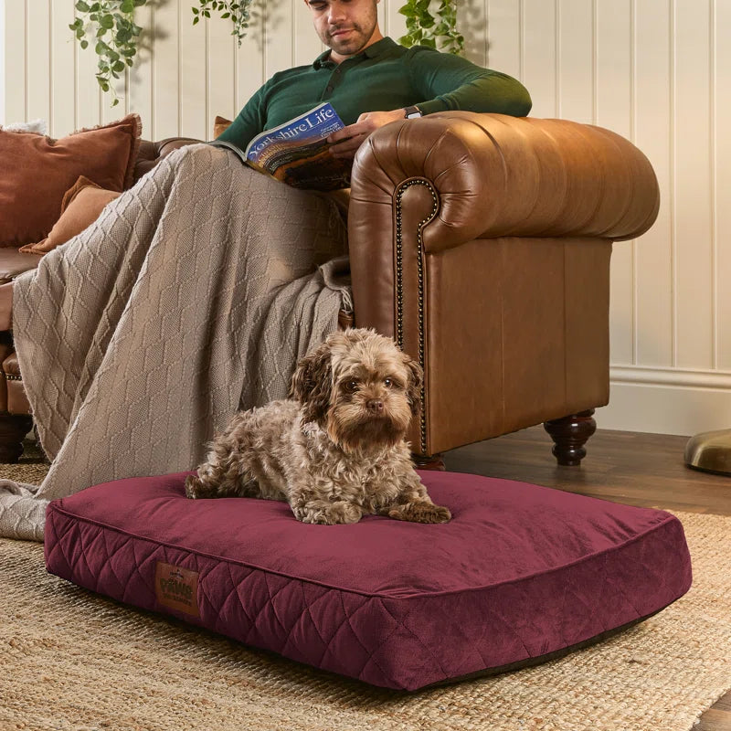 Slumberdown Paws for Slumber Raised Padded Dog Bed