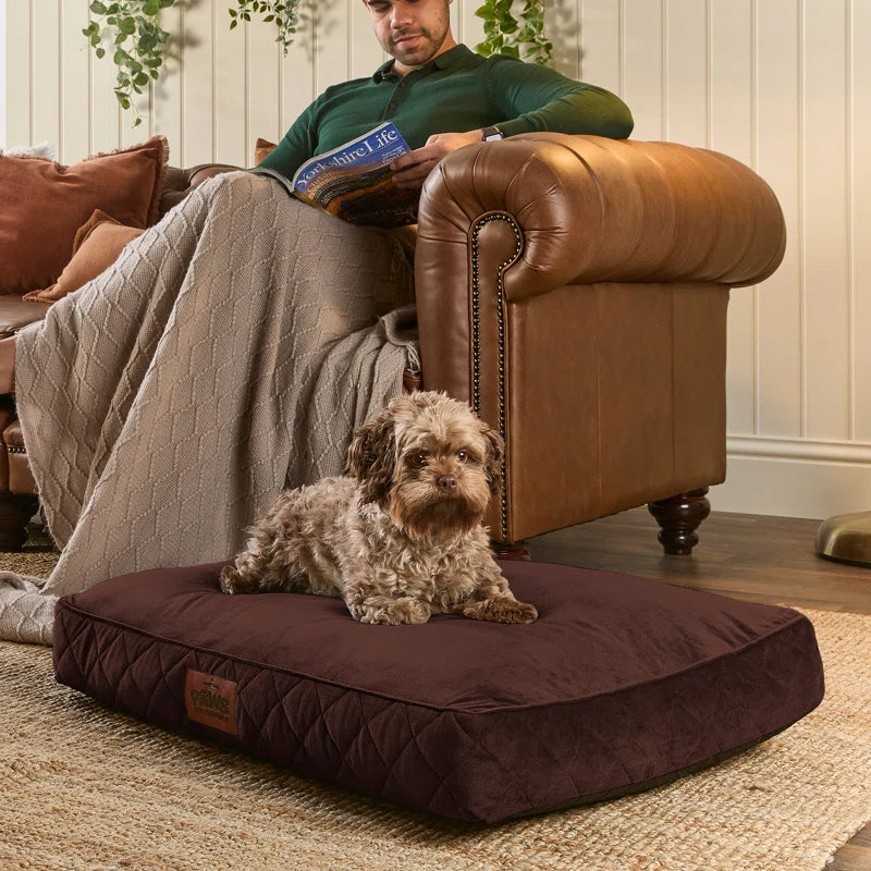 Slumberdown Paws for Slumber Raised Padded Dog Bed