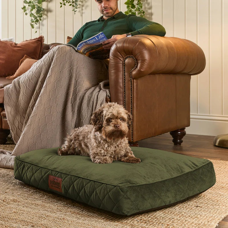 Slumberdown Paws for Slumber Raised Padded Dog Bed