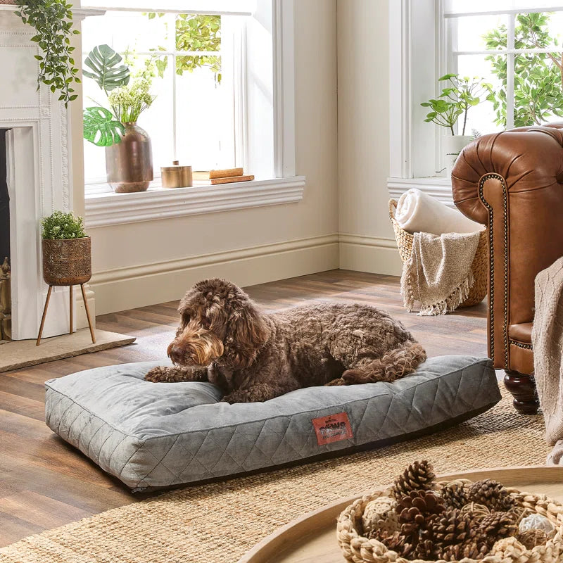 Slumberdown Paws for Slumber Raised Padded Dog Bed